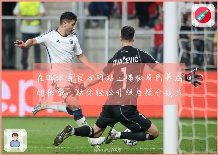 在mk体育官方网站上揭秘角色养成的秘密，助你轻松升级与提升战力！
